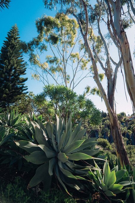 lightskin onlyfans beautiful porn image