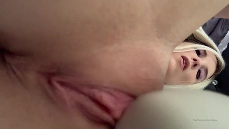 Piper Perri nude actress img