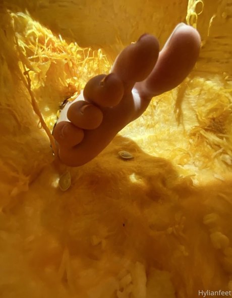 japanese teen onlyfans free sexy gallery