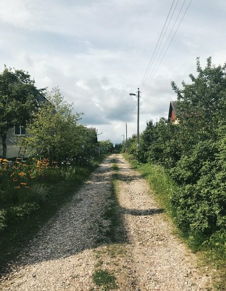 dmv onlyfans free gallery