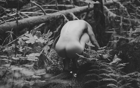 Audri Asana beautiful pornstar pic