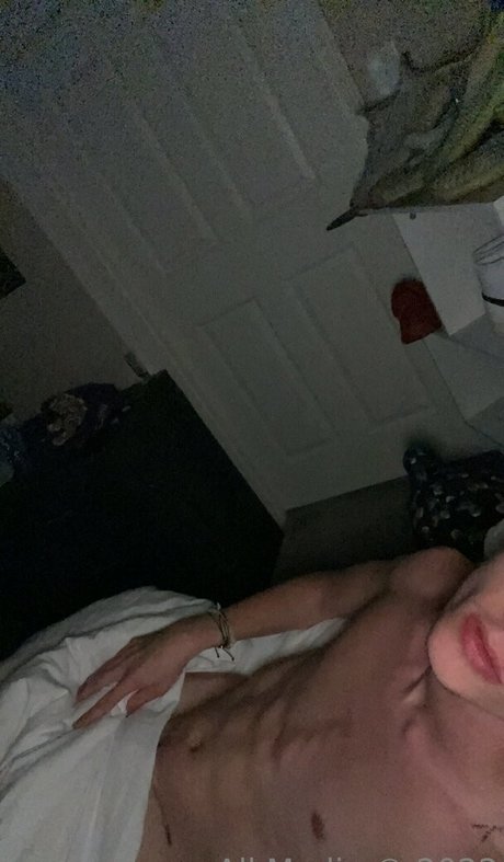 notgavinn star nice gallery