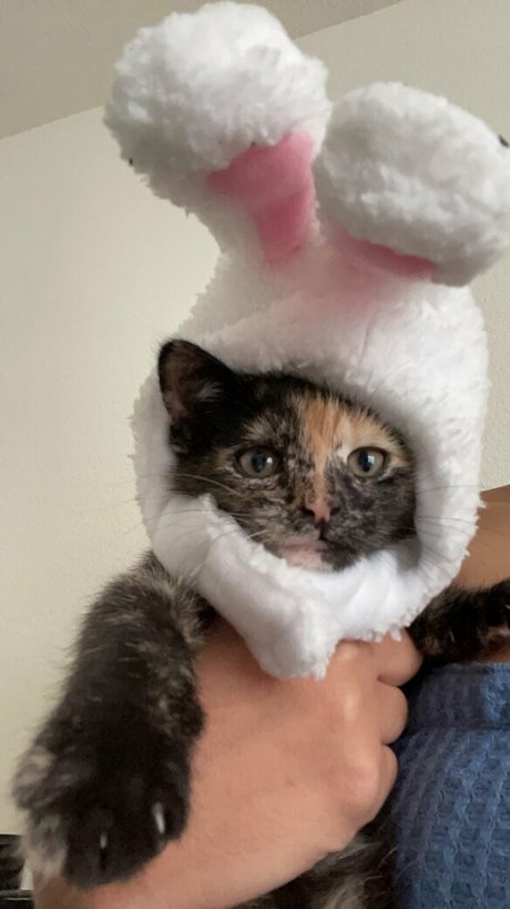 blonde muscle onlyfans free naked images