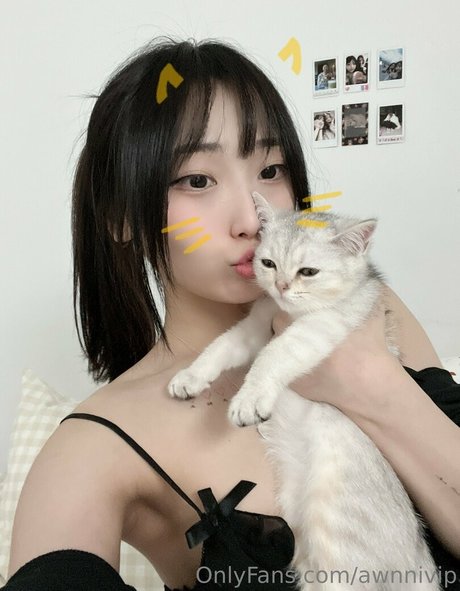 awnnivip star archive