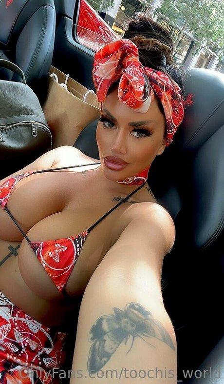 toochis world star gallery