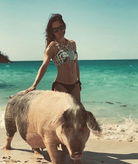 Sara Chafak star xxx images