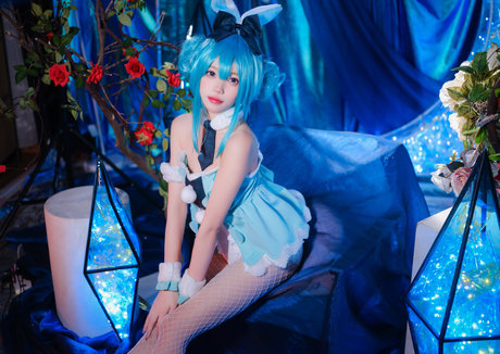 Niantutu star adult img