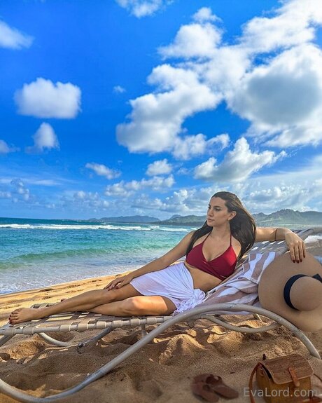 evalord hot star gallery