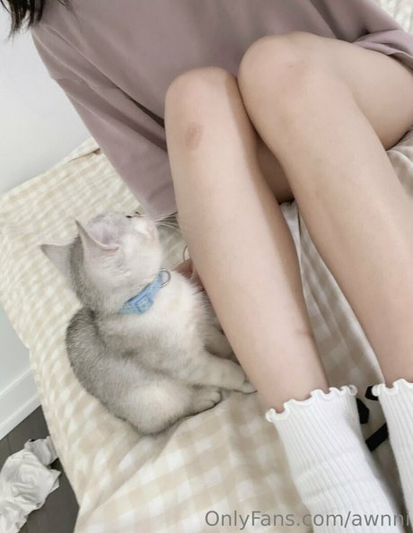 awnni sex pornstar galleries