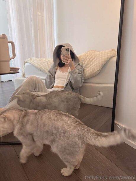 awnni free model galleries