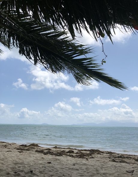 gay teen onlyfans adult img