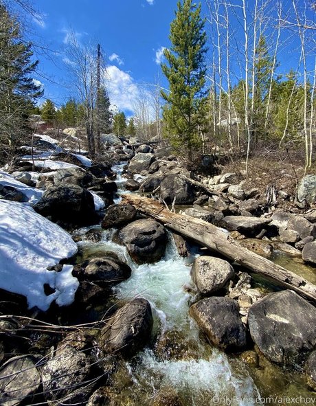 Alexchov free star img