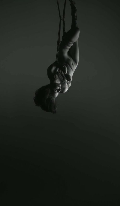 Lady Gaga art model galleries