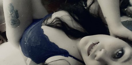 niabugs hd model img