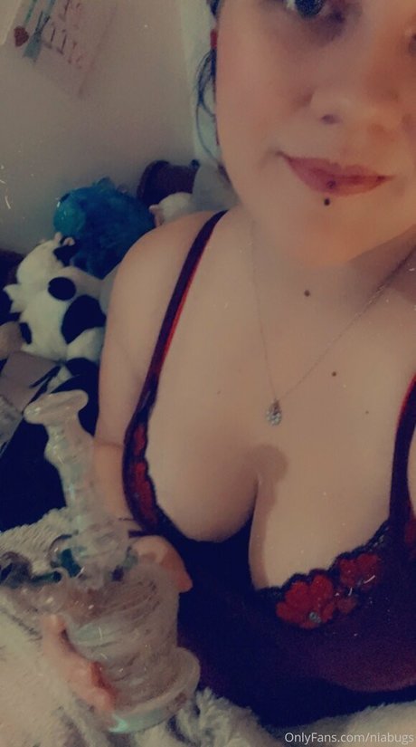 niabugs star free pictures