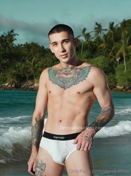 Derek4free art pornstar galleries