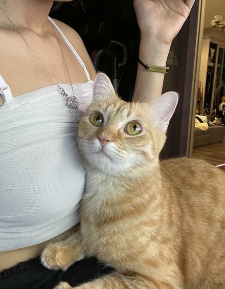 busty bbw onlyfans beautiful xxx photo