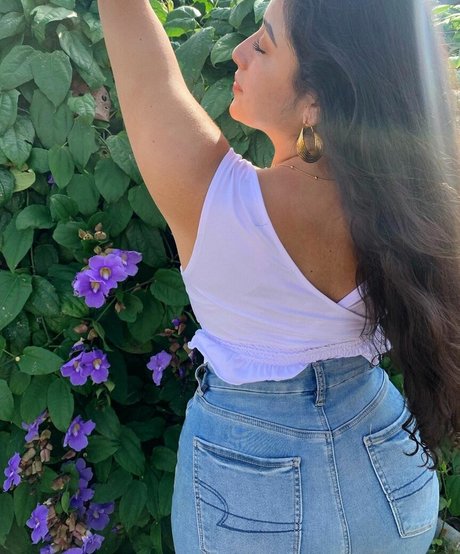 baelib best model gallery