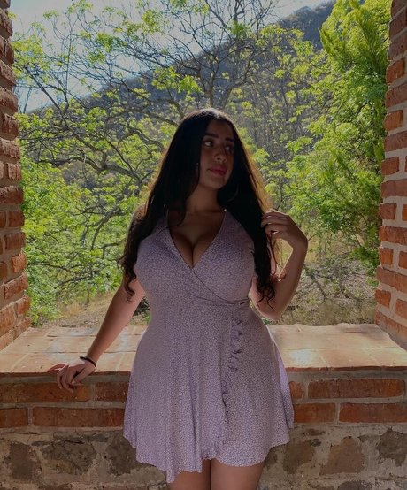 baelib model art img