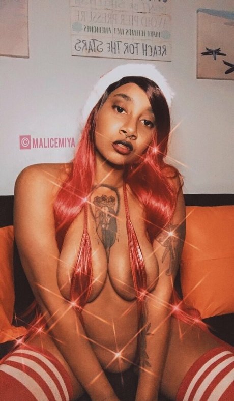 malicemiya star art images