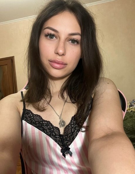 lisamickey nice star galleries