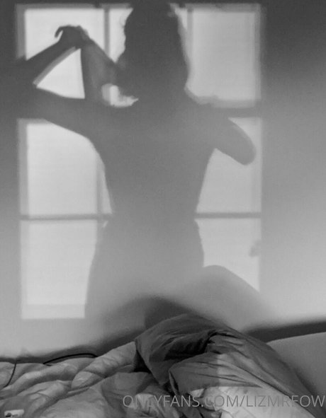 Lizmreow beautiful pornstar picture