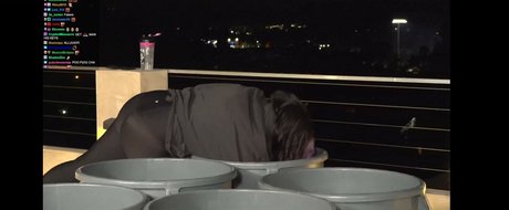 Alluux model galleries