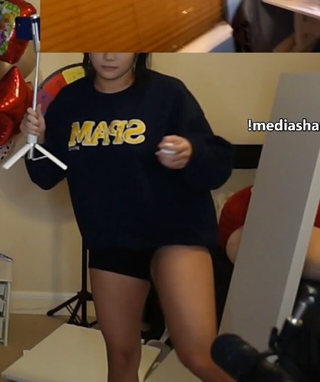 Cinnabrit model images