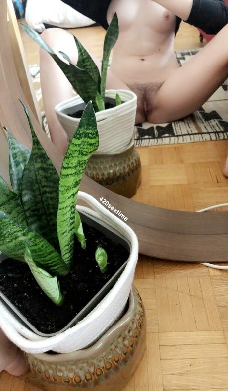 sextime420 pornstar high quality image