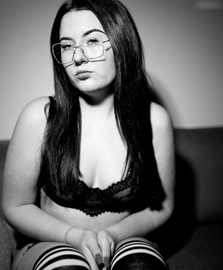 leogr star free picture