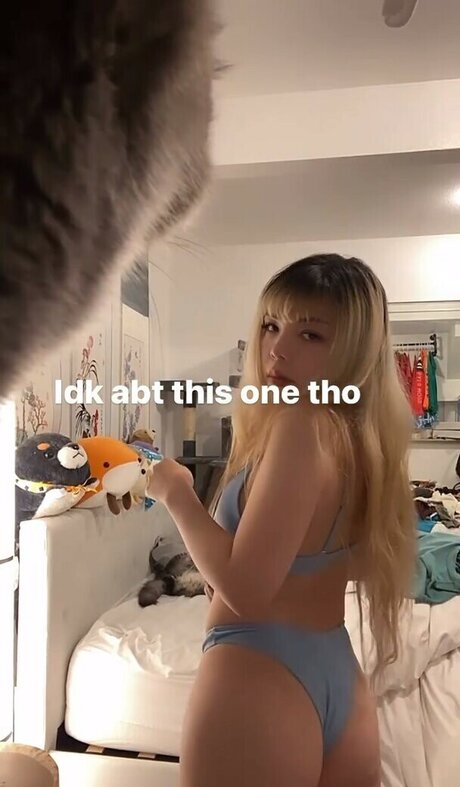 eggtardy free star archive