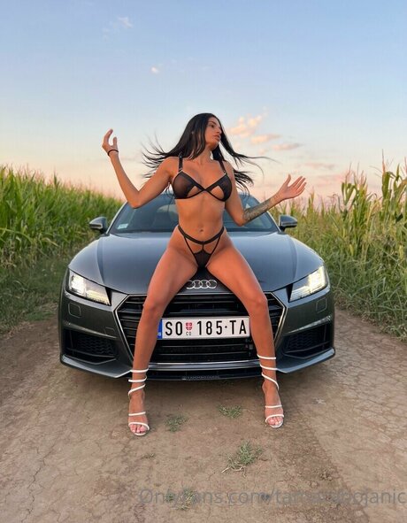 Tamara Bojanic pornographic actress pictures