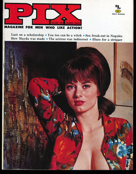 Classic Porn Magazines sex actress archive