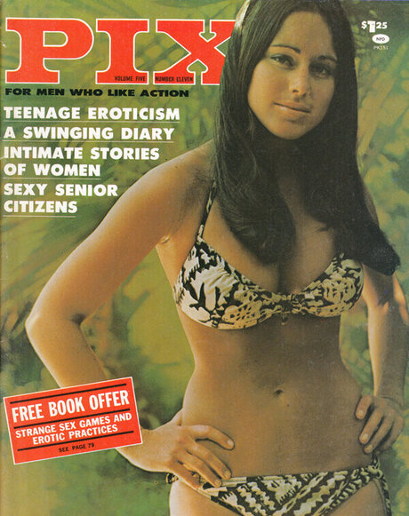 Classic Porn Magazines star beautiful pic