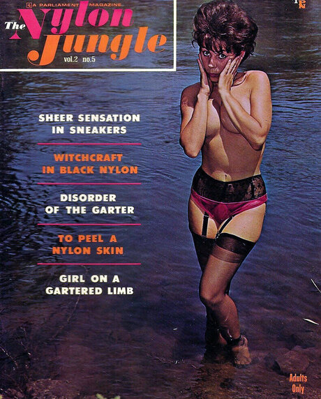 Classic Porn Magazines model pretty photo