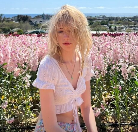 bug universe model beautiful gallery