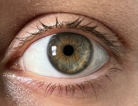 Victoria Liro star pornographic picture