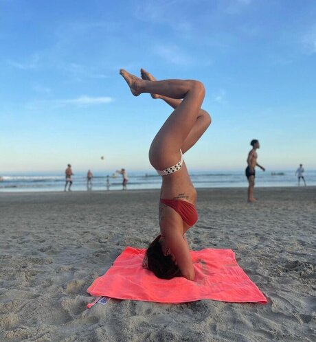 Priscila Sol pornstar hot galleries