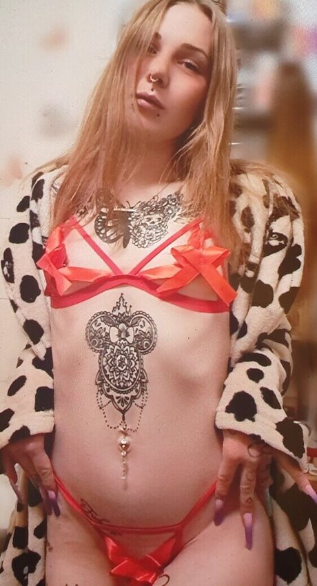 x no interest x sex star pictures