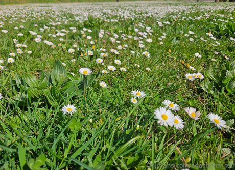 milf wife onlyfans porno galleries