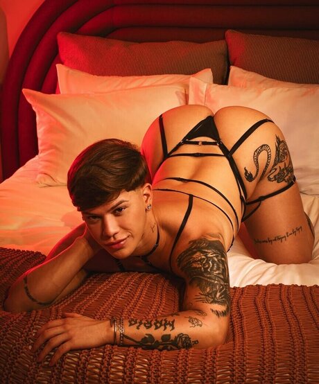 Haroldcdalves star exclusive img