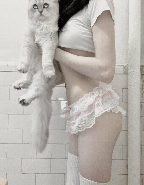 Sashad0ll star nice images