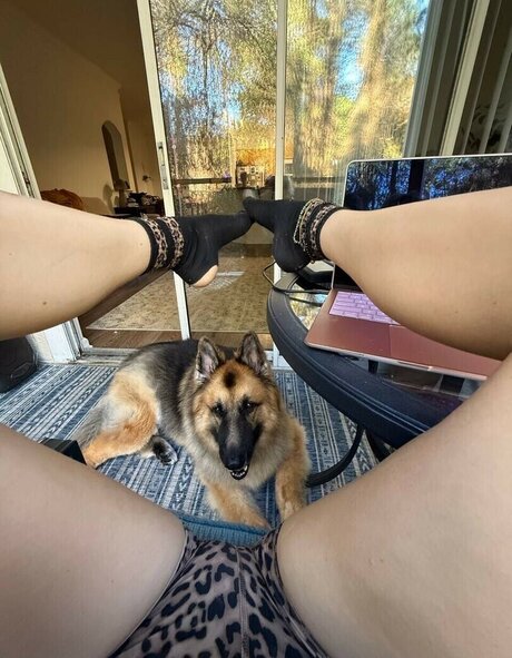 Katycarnegie hd star gallery