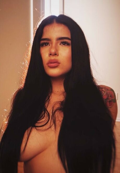 Stormycash model art archive