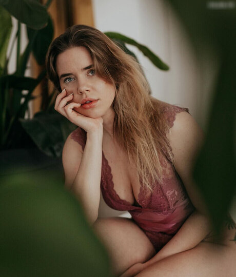 hollaura top pornstar img