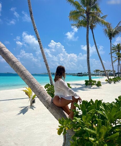 Lexi Si ziehl abegg pornstar pretty picture