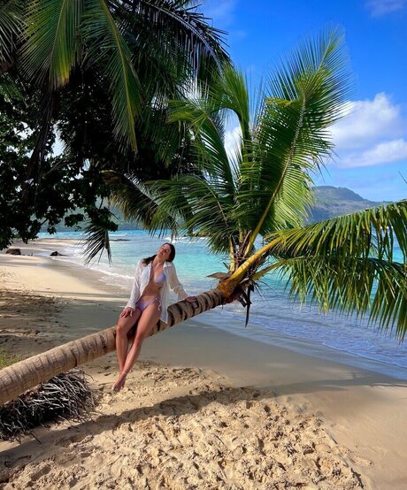 Lexi Si ziehl abegg star porn galleries