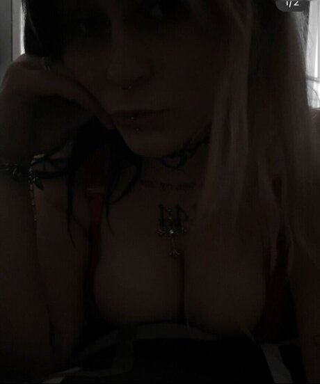 maryymauss star nice gallery