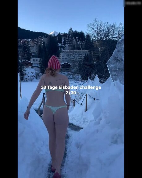 gringerliner Profile