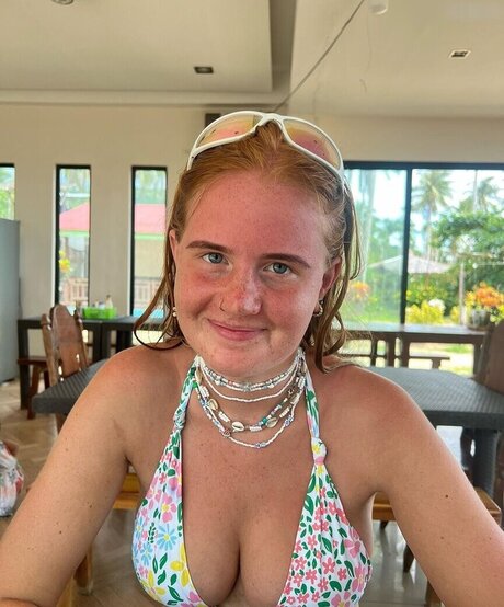 gringerliner star art pictures